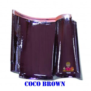 COCO BROWN POST